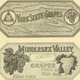 Illustration for article titled Grapes